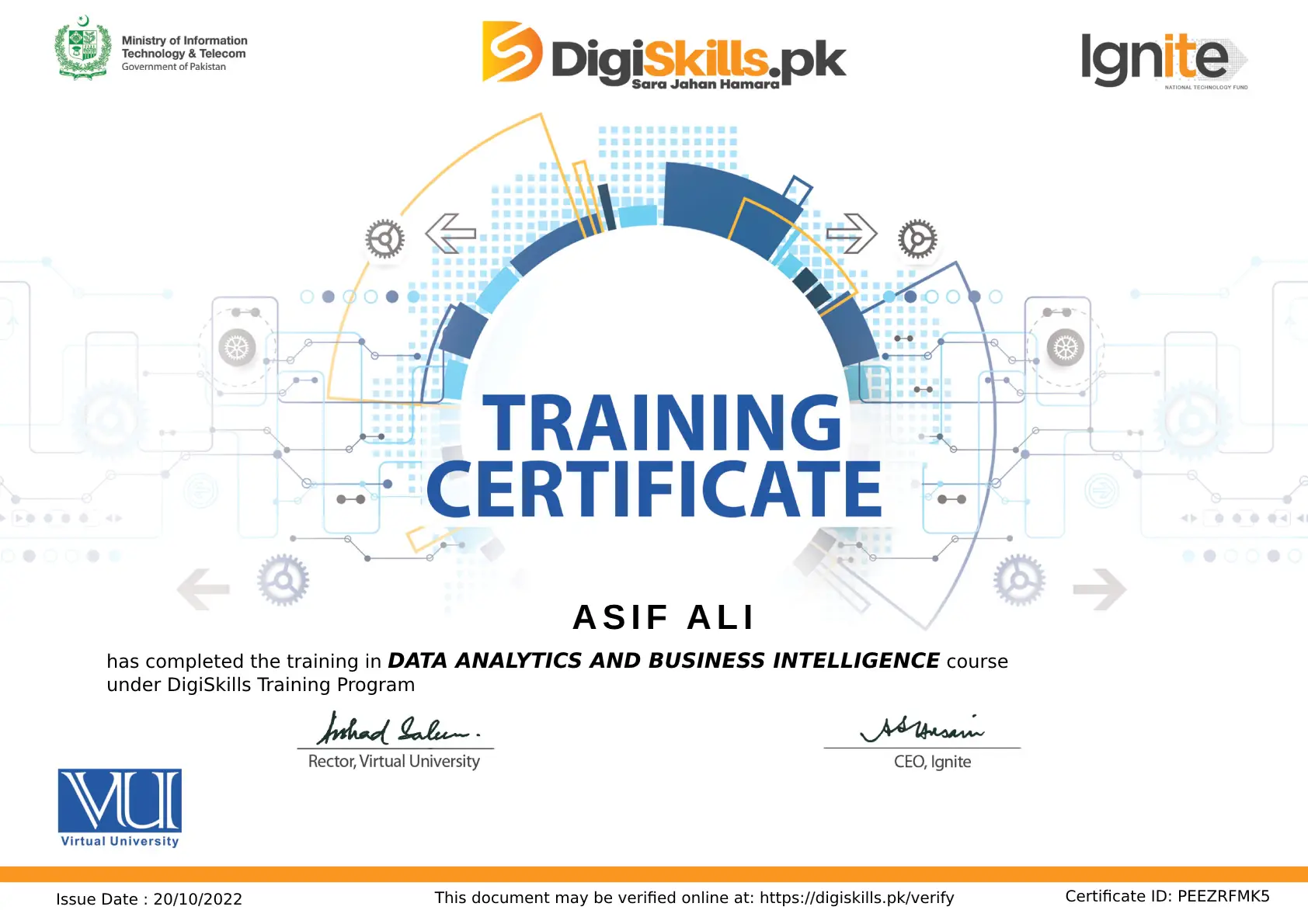 Data Analytics and Business Intelligence Course